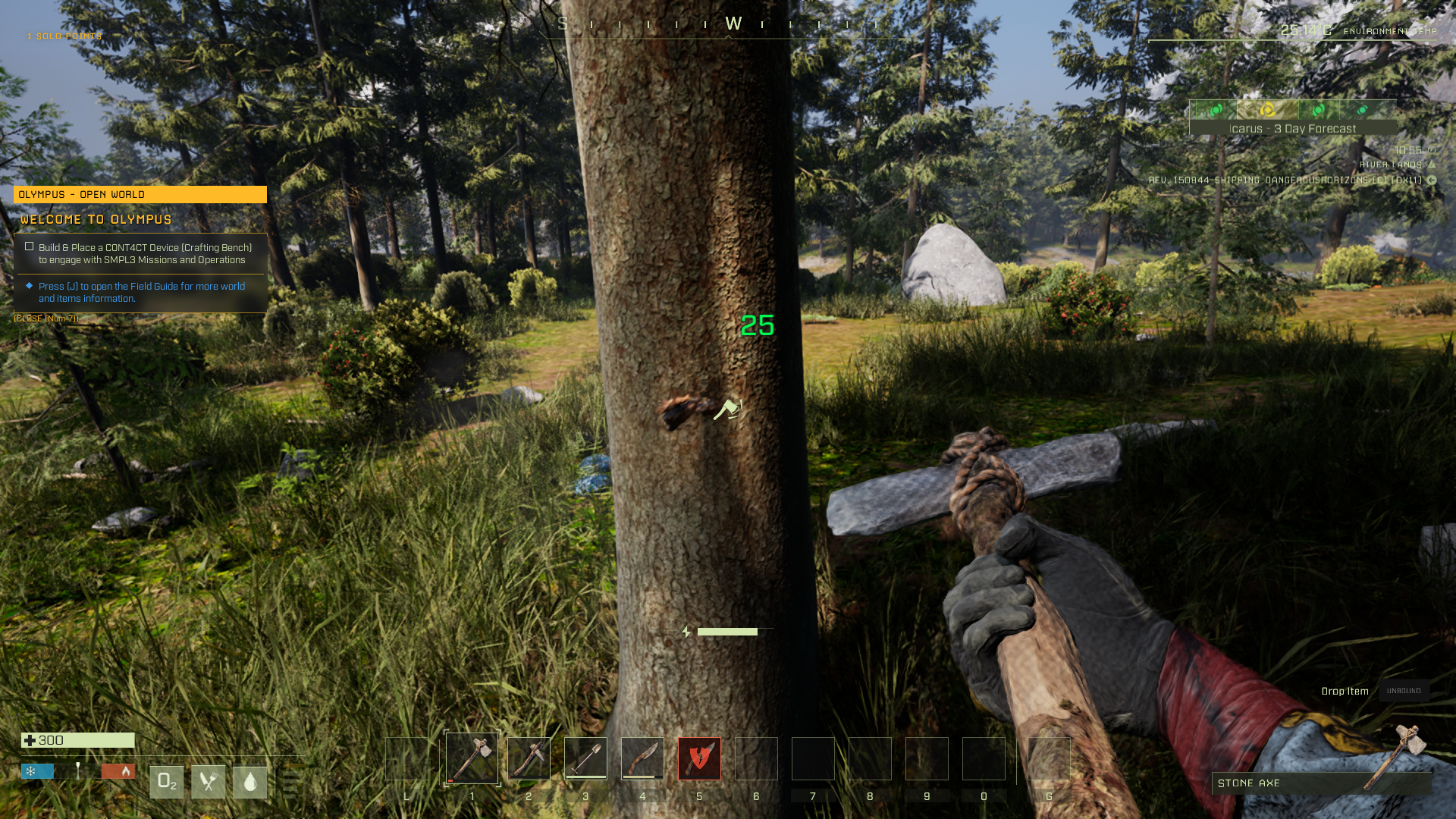 Icarus Joined Server